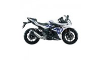 Carénage Suzuki GSX250R
