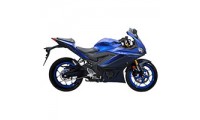Carénage Yamaha R25