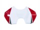 Carénages Moto Ducati Panigale V4 V4S 2018-2019 - Blanc Rouge Vert Noir Brillant