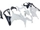 Carénages Moto Kawasaki EX300 2013-2017 - Blanc Noir
