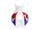 Carénage Moto Honda CBR1000RR 2006-2007 - Blanc Rouge Bleu HRC