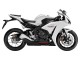 Carénages Moto Honda CBR1000RR 2012-2016 - Blanc Noir Mat