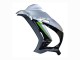 Carénage Moto Kawasaki ZX10R 2016-2020 - Argent Vert Noir