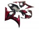 Carénages Moto Yamaha YZF 600 R6 2005 - Noir Rouge Flamme