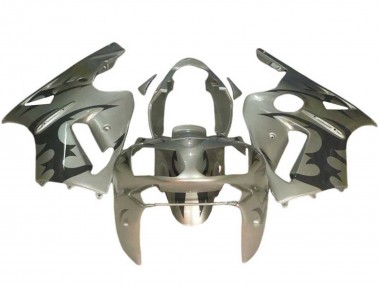 Carénages Moto Kawasaki ZX12R 2002-2006 - Argent Noir